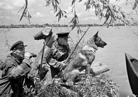 28 мая — День пограничника: история зеленых фуражек и традиции праздника