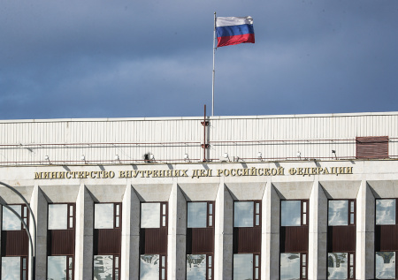 МВД объявило в розыск политолога-иноагента Марию Снеговую