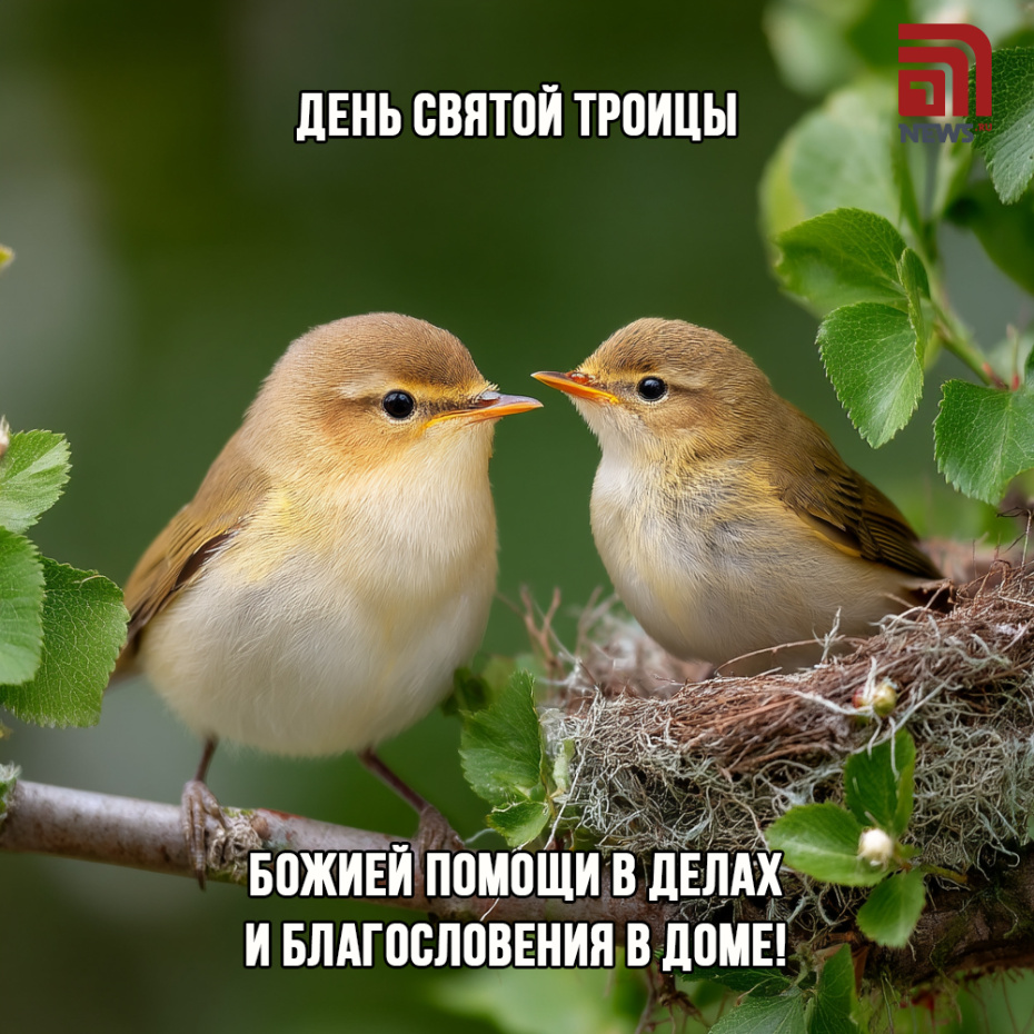 Скачать открытки с праздником Троицы бесплатно