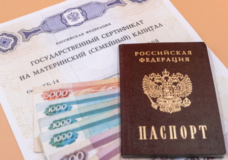 Россиянам рассказали, кому полагается новая семейная налоговая выплата