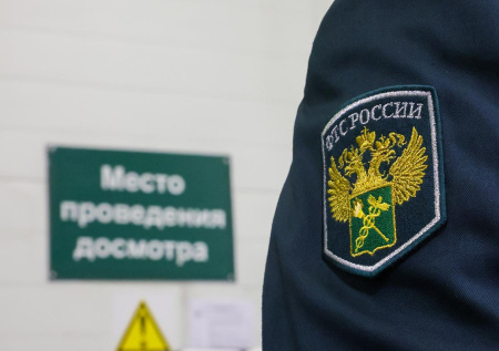 Бурятские таможенники обнаружили нефрит под одеждой иностранки