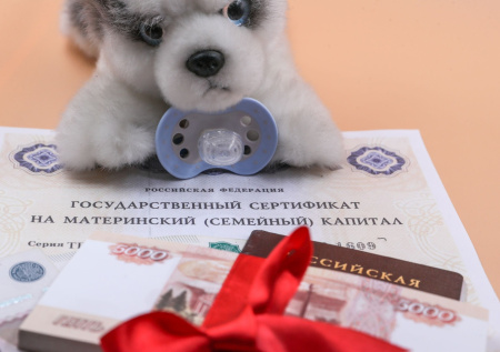 В России предложили ввести материнскую зарплату не ниже МРОТ