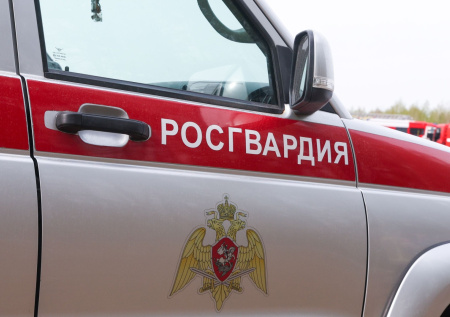 Появилось видео с пытавшимся забраться в детсад неадекватом
