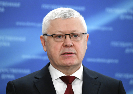 Пискарев указал на попытки иностранных дипломатов вмешаться в дела России