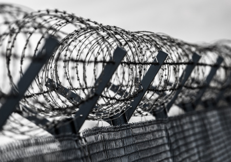 В ГД высказались о создании в Нидерландах лагерей для военнопленных из РФ
