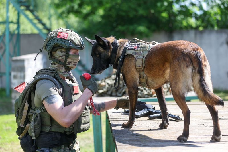 Сотрудник ОМОНа со служебной собакой на полигоне Главного управления Росгвардии по Московской области во время тренировки по отработке нахождения взрывчатых веществ
