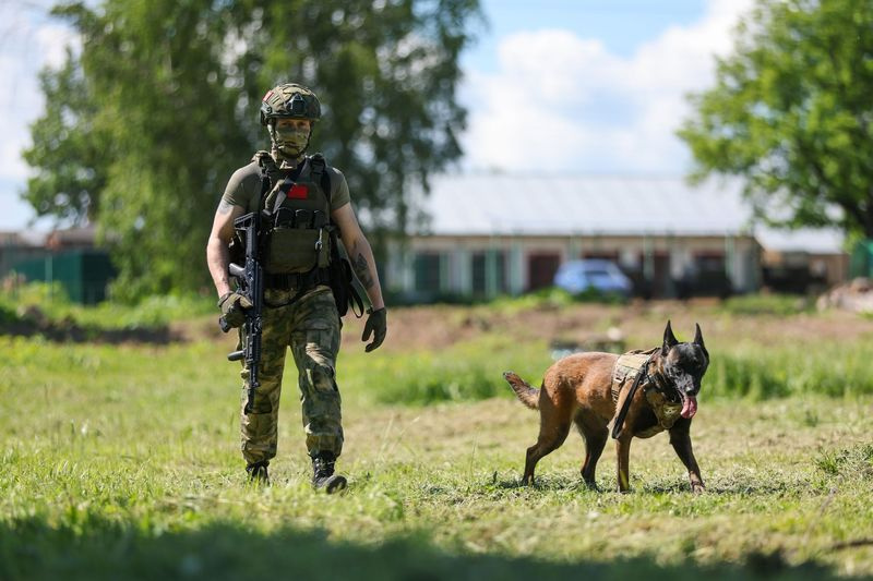 Сотрудник ОМОНа со служебной собакой на полигоне Главного управления Росгвардии по Московской области во время тренировки по отработке нахождения взрывчатых веществ