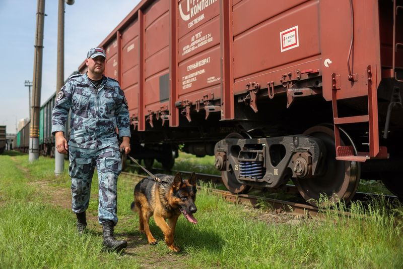 Сотрудник кинологической службы МВД РФ со служебной собакой на патрулировании территории в промышленном районе Москвы