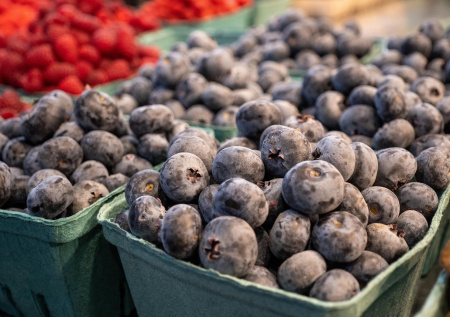 Нутрициолог ответила, какие продукты необходимо есть летом