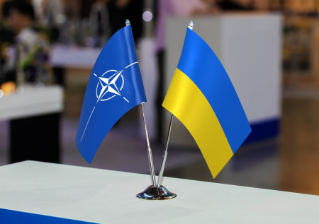 В Совфеде объяснили, поможет ли НАТО в переговорах с Украиной