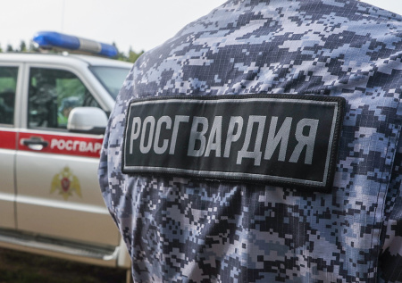 Взрывное наследие войны разминировали в Петербурге