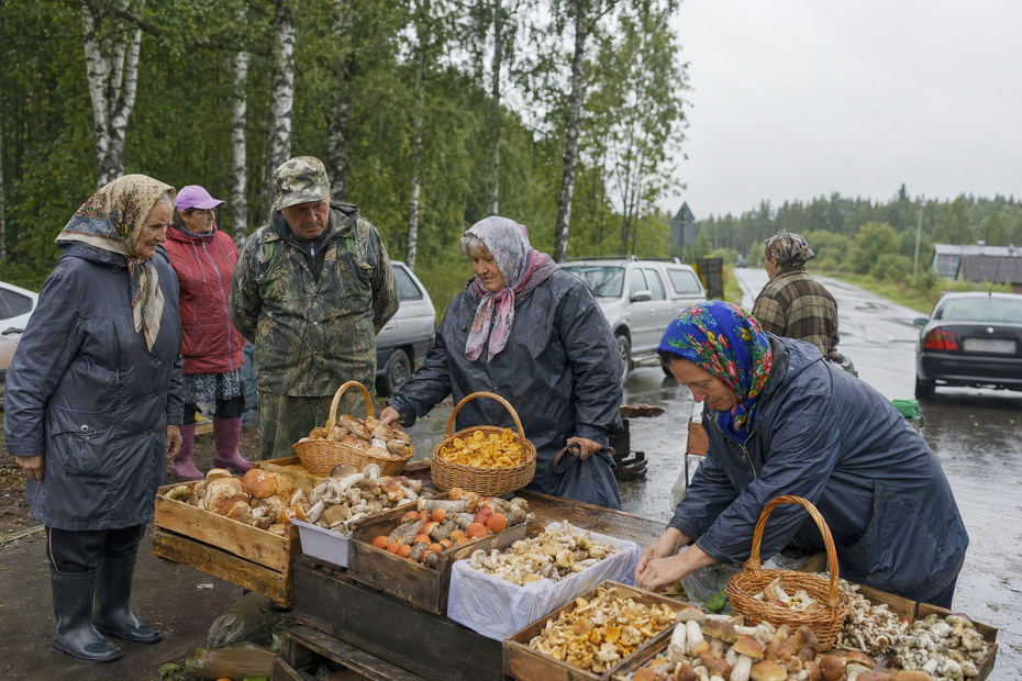 Опасные грибы