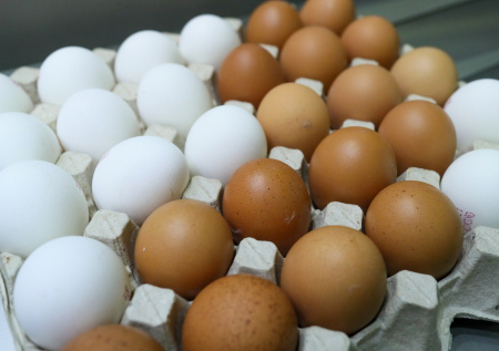 Россиян предупредили о резком снижении цен на популярный продукт
