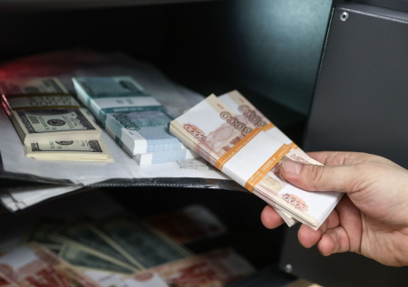 Опрос показал количество россиян, стремящихся к богатству