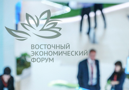 Раскрыто число стран — участниц Восточного экономического форума