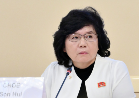 Глава МИД КНДР посетит Россию по приглашению Лаврова