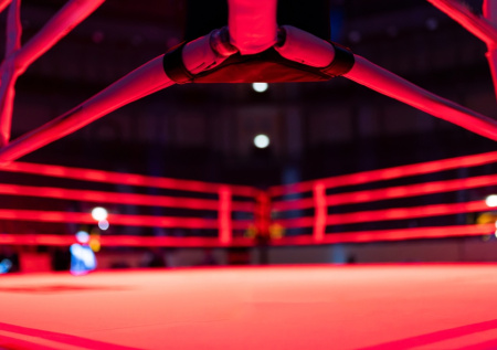 Российский экс-боец UFC победил пуэрториканского чемпиона в Майами