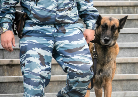 Стала известна судьба пропавшего в Красных Баках подростка