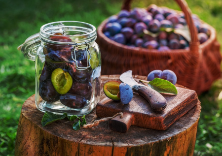 Сливы на зиму — 6 лучших рецептов на любой вкус: от компота до соленья