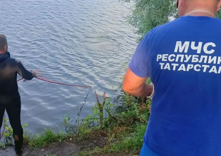 В Татарстане пятилетняя девочка утонула в пруду