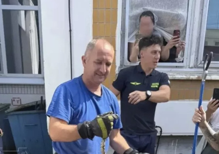 В московский детсад заползла редкая змея