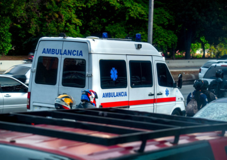 В Чили ввели санитарную тревогу из-за роста смертности от хантавируса
