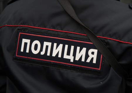 Пьяный дебошир обматерил полицейских и попытался пробраться в Кремль