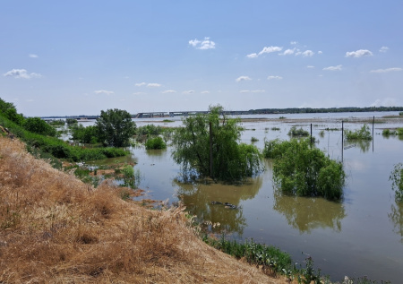 Раскрыта ситуация с уровнем воды в реке Тура