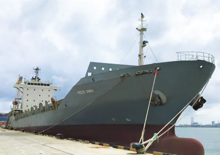 Компания FESCO изменила планы после атаки морских дронов на судно «Янина»
