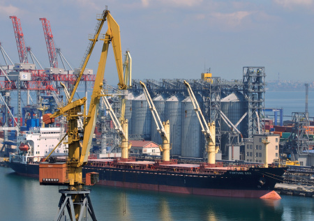 На Украине раскрыли потери агросектора от блокировки портов Большой Одессы