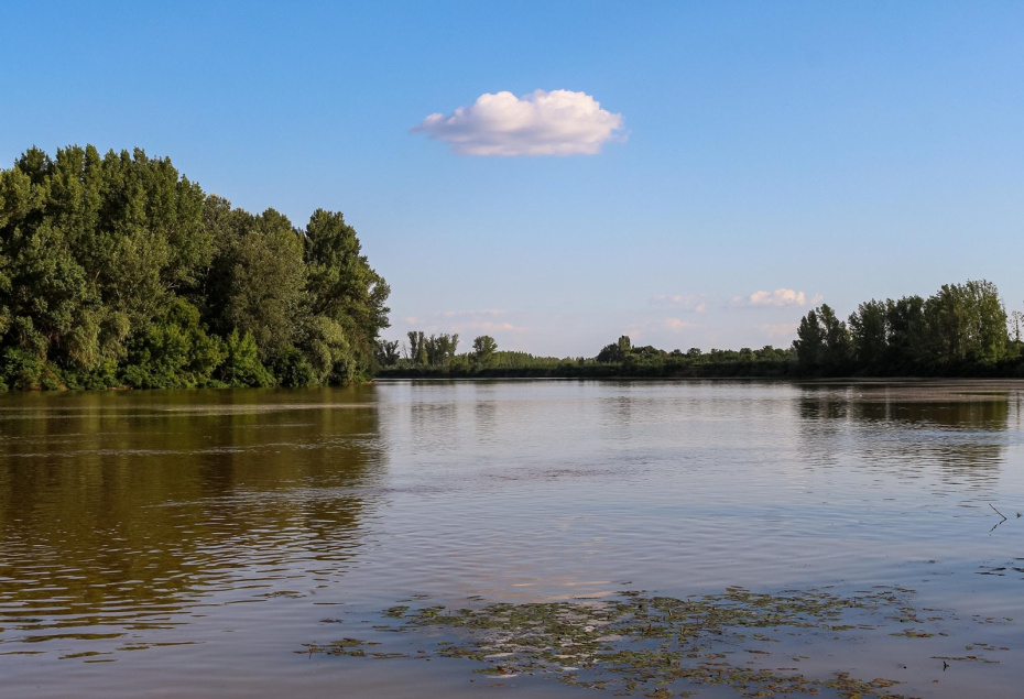 Река Тиса