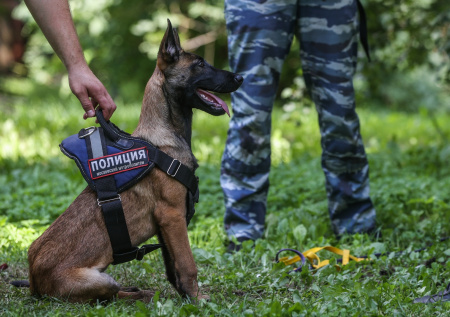 В Иркутске двойняшки отправились на прогулку и не вернулись