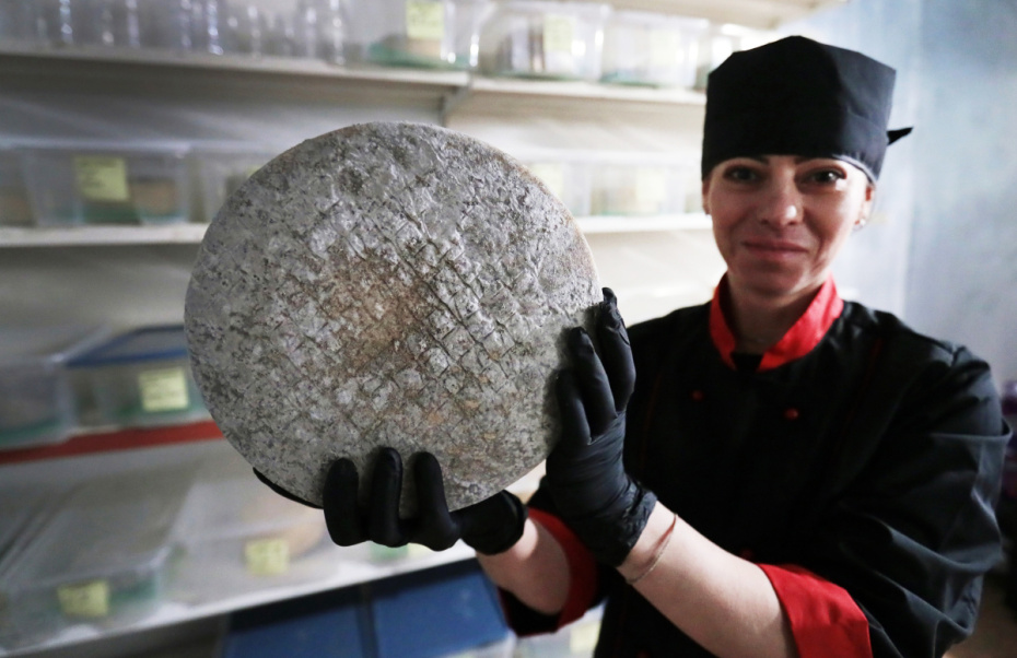 Один из видов сыров, производимых на семейной экоферме Mumi Cheese в Тульской области