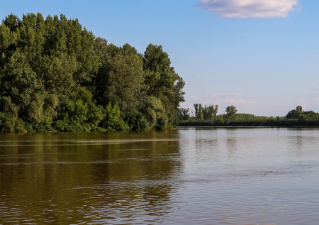 Пьяная парочка решила искупаться в Енисее и едва не утонула