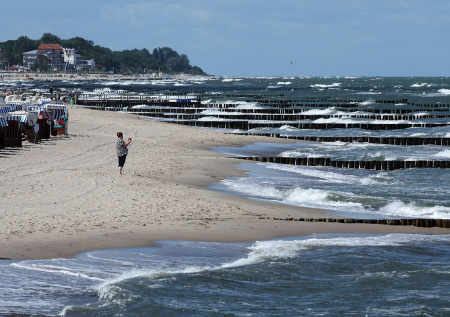 В Германии закрывают популярные пляжи из-за нашествия опасных водорослей