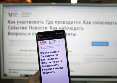В ЦИК указали на число желающих проголосовать онлайн