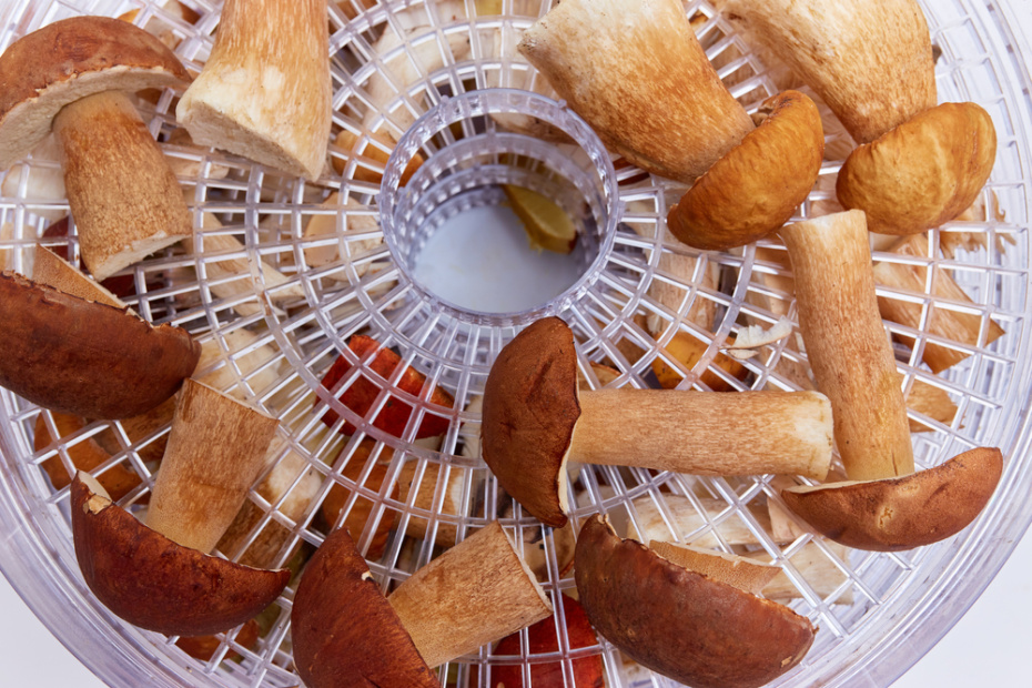 Какие продукты подходят для сушки