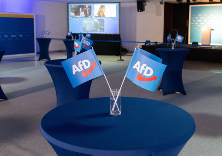 В ФРГ начали опасаться прихода «Альтернативы для Германии» к власти