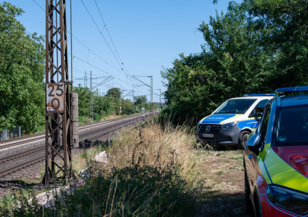 Перерезанные кабели остановили поезда в европейской стране