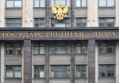 В Госдуме высказались об уголовном деле блогера Шурыгиной
