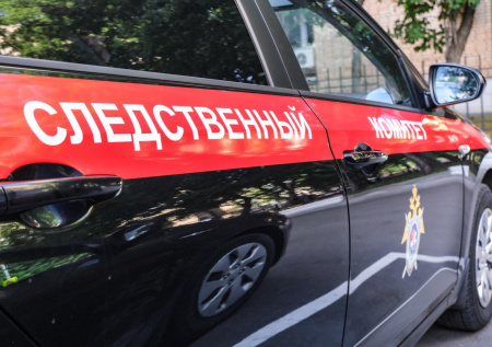 СК привел новые детали о водителе, сбившем пешеходов в Туве