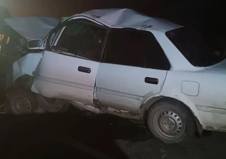 Семь человек пострадали в страшном ДТП на трассе