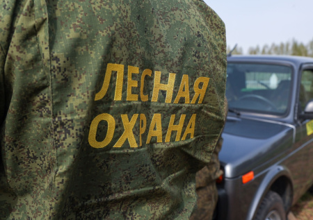 Спасатели ликвидировали еще один лесной пожар в Краснодарском крае