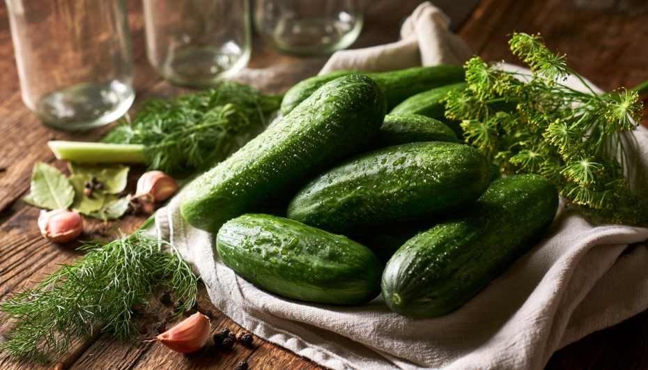 Соленые огурцы холодным способом