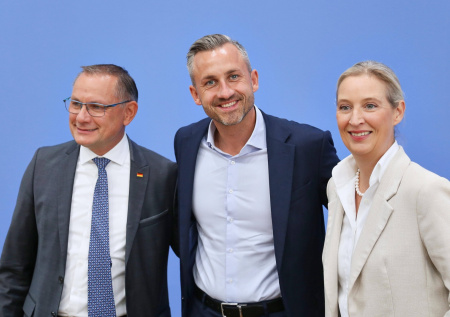 Политолог объяснил успех партии АдГ на выборах в Германии