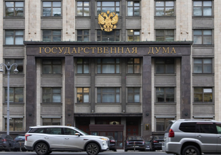 Распределение мандатов депутатов Госдумы IX созыва: инфографика