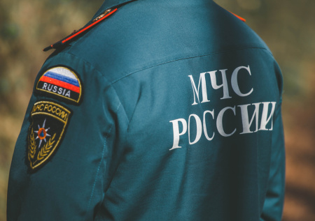 Курьер решил срезать путь через лес и едва не утонул в болоте