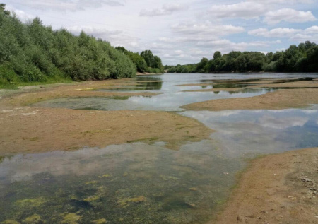 Киев прекратил поддержку уровня воды в Днестре на территории Молдавии