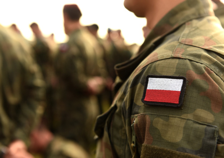 В Польше испугались предложения сбивать беспилотники над Украиной