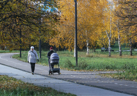 Москва пережила самую холодную ночь за несколько месяцев